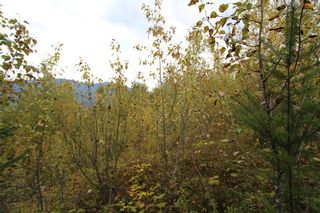 Photo 7: Lot 81 Sunset Drive: Eagle Bay Land Only for sale (Shuswap)  : MLS®# 10186644