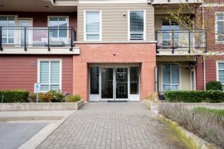 Photo 33: D303 20211 66 Avenue in Langley: Willoughby Heights Condo for sale : MLS®# R2874395