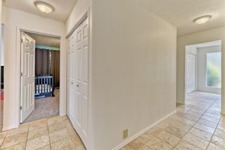 Photo 18: 10843 Mapleshire Crescent SE in Calgary: Maple Ridge Detached for sale : MLS®# A1099704