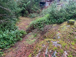 Photo 8: SL 1 Eagles Cove in Campbell River: CR Campbell River North Land for sale : MLS®# 960648