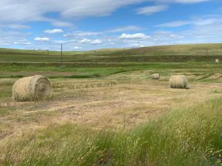 Photo 14: Lot 1 PRINCETON KAMLOOPS Highway in Kamloops: Knutsford-Lac Le Jeune Lots/Acreage for sale : MLS®# 168547