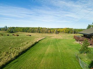 Photo 39: : Rural Clearwater County Agriculture for sale : MLS®# A2111562