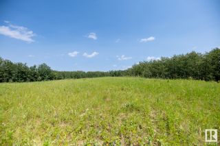 Photo 11: 23246 TWP  RD 521A: Rural Strathcona County Vacant Lot/Land for sale : MLS®# E4384068