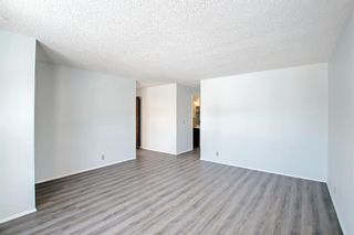 Photo 5: 4531 43 Street NE in Calgary: Whitehorn Detached for sale : MLS®# A1209196