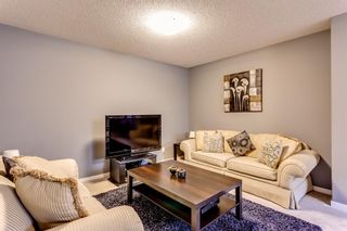 Photo 35: 66 Skyview Point Rise NE in Calgary: Skyview Ranch Detached for sale : MLS®# A1212489