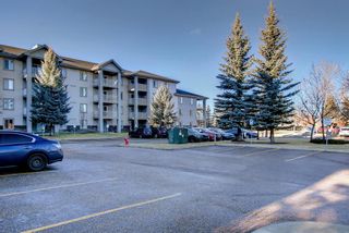 Photo 43: #312 60 Lawford Avenue: Red Deer Apartment for sale : MLS®# A1152455