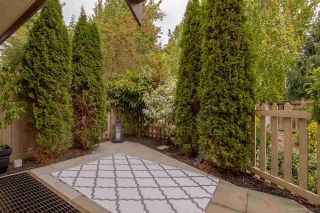 Photo 19: 64 20350 68 Avenue in Langley: Willoughby Heights Townhouse for sale in "SUNRIDGE" : MLS®# R2109744
