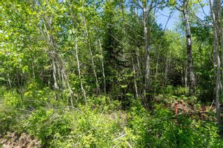 Photo 19: Lot 10 Old Renfrew Road in Upper Rawdon: 105-East Hants/Colchester West Vacant Land for sale (Halifax-Dartmouth)  : MLS®# 202306247