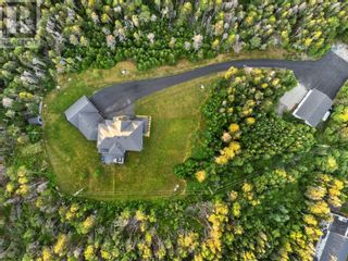 Photo 48: 133 Lower Road in Outer Cove: House for sale : MLS®# 1261458