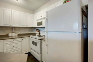 Photo 13: 4421 4975 130 Avenue SE in Calgary: McKenzie Towne Apartment for sale : MLS®# A1020076