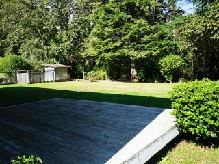 Photo 13: 3850 Laurel Dr in ROYSTON: CV Courtenay South House for sale (Comox Valley)  : MLS®# 825424