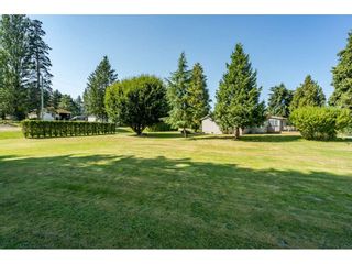 Photo 33: 82 CLOVERMEADOW Crescent in Langley: Salmon River House for sale in "Salmon River" : MLS®# R2485764