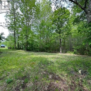 Photo 16: 15 Conquerall Road in Hebbs Cross: Vacant Land for sale : MLS®# 202325145