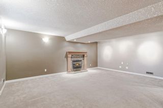 Photo 24: 4908 Nelson Road NW in Calgary: North Haven Detached for sale : MLS®# A2040949