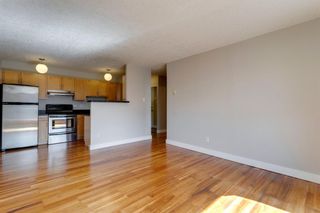 Photo 9: 305 934 2 Avenue NW in Calgary: Sunnyside Apartment for sale : MLS®# A1210615