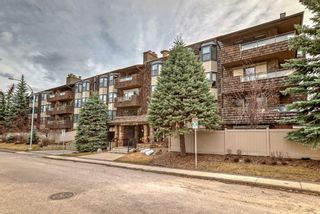Main Photo: 411 3730 50 Street NW in Calgary: Varsity Apartment for sale : MLS®# A2126442