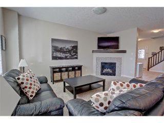 Photo 7: 258 HILLCREST Circle SW: Airdrie House for sale : MLS®# C4016316