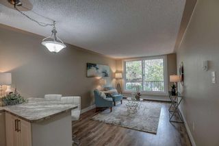 Photo 24: 203 1015 14 Avenue SW in Calgary: Beltline Apartment for sale : MLS®# A2081680