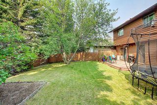 Photo 34: 172 Edendale Way NW in Calgary: Edgemont Detached for sale : MLS®# A1133694