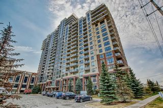 Photo 1: 219 8880 Horton Road SW in Calgary: Haysboro Apartment for sale : MLS®# A2061755
