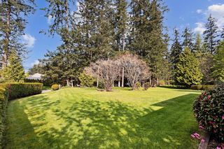 Photo 12: 2684 140 Street in Surrey: Sunnyside Park Surrey House for sale (South Surrey White Rock)  : MLS®# R2774510