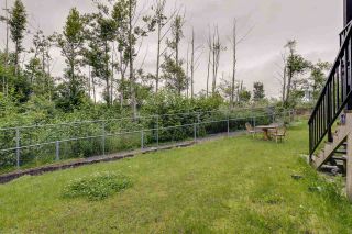 Photo 37: 3501 HILL PARK Place in Abbotsford: Abbotsford West House for sale : MLS®# R2480553