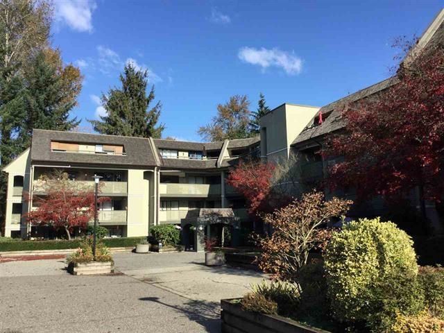 Main Photo: 308 1210 PACIFIC Street in Coquitlam: North Coquitlam Condo for sale : MLS®# R2603038
