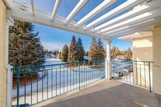 Photo 21: 305 2144 Paliswood Road SW in Calgary: Palliser Apartment for sale : MLS®# A2099273