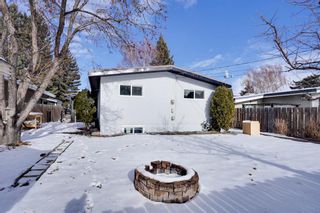Photo 41: 9643 Alcott Road SE in Calgary: Acadia Detached for sale : MLS®# A1185839