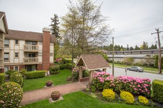 Photo 20: 214 843 22ND Street in West Vancouver: Dundarave Condo for sale in "TUDOR GARDENS" : MLS®# R2528064