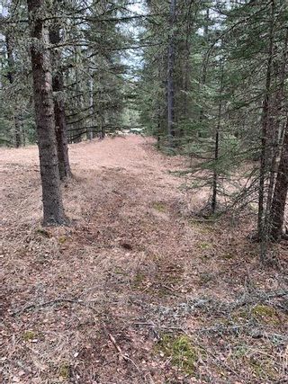 Photo 9: 231057 Rge Rd 54: Bragg Creek Residential Land for sale : MLS®# A1118605