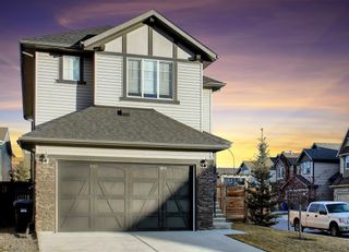 Photo 1: 452 Chaparral Valley Way SE in Calgary: Chaparral Detached for sale : MLS®# A1161859