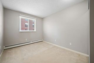 Photo 21: 203 305 25 Avenue SW in Calgary: Mission Apartment for sale : MLS®# A2044945