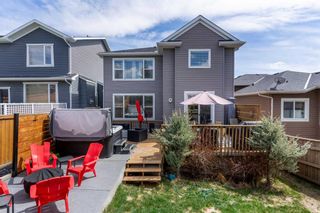 Photo 42: 246 Evanspark Circle NW in Calgary: Evanston Detached for sale : MLS®# A2129795