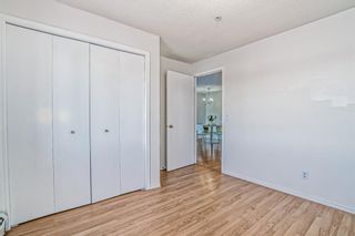 Photo 25: 1216 6224 17 Avenue SE in Calgary: Red Carpet Apartment for sale : MLS®# A2011855