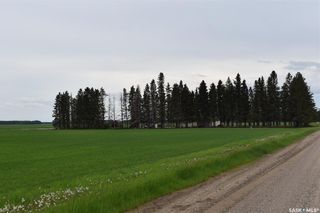 Photo 14: Wallington Acreage in Torch River: Residential for sale (Torch River Rm No. 488)  : MLS®# SK891093