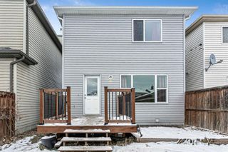 Photo 21: 168 Saddlecrest Place in Calgary: Saddle Ridge Detached for sale : MLS®# A1054855