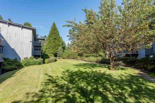 Photo 15: 162 200 WESTHILL Place in Port Moody: College Park PM Condo for sale in "Westhill Place" : MLS®# R2183765