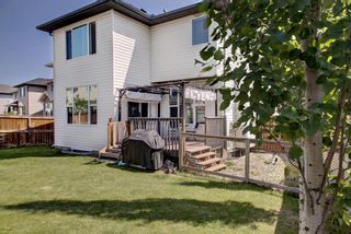 Photo 37: 40 BRIGHTONCREST Manor SE in Calgary: New Brighton Detached for sale : MLS®# A1016747