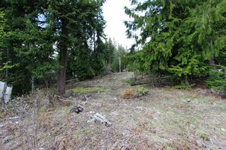 Photo 15: 99 Fraser Crescent: Anglemont Land Only for sale (North Shuswap)  : MLS®# 10097577