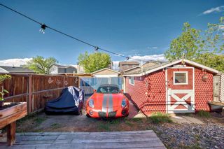 Photo 38: 18 Martinridge Road NE in Calgary: Martindale Detached for sale : MLS®# A2136332