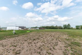 Photo 42: 4202 52 Avenue in Stettler: Stettler Town Detached for sale : MLS®# A1132298