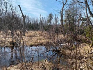 Photo 12: Lot 21 Lakeside Drive in Little Harbour: 108-Rural Pictou County Vacant Land for sale (Northern Region)  : MLS®# 202207907