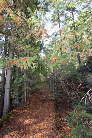 Photo 6: Lot 22 Vickers Trail: Anglemont Vacant Land for sale (North Shuswap)  : MLS®# 10243424