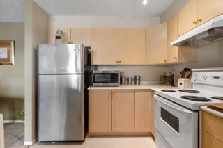 Photo 6: 2316 2600 66 Street NE in Calgary: Pineridge Apartment for sale : MLS®# A2122941