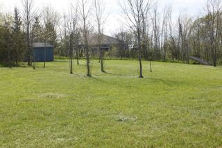 Photo 7: Pt Lot County Rd 15 in Prince Edward County: Sophiasburgh Property for sale : MLS®# X5225157