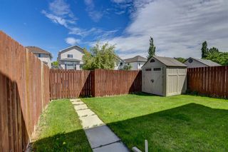 Photo 32: 175 Coverton Close NE in Calgary: Coventry Hills Detached for sale : MLS®# A1227151