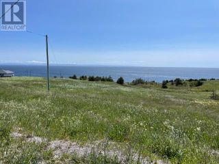 Photo 4: 460 Main Route in Felix Cove: Vacant Land for sale : MLS®# 1229362