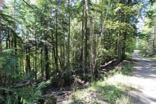 Photo 3: Lot 127 Vickers Trail: Land Only for sale : MLS®# 10071267