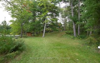 Photo 32: 1178 Duck Pond Road in Douro-Dummer: Rural Douro-Dummer House (Bungalow) for sale : MLS®# X6796484